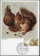 Ifni 1955 (Maroc Depuis 1969) Y&T 100 Sur Carte Maximum. Journée Du Timbre, écureuil - Rodents