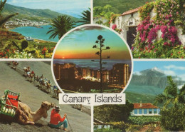 135738 - Kanarische Inseln - Spanien - 5 Bilder - Sonstige & Ohne Zuordnung