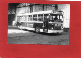 AUTOBUS Type SC 10 U 442 N° 340--TOULOUSE STCRT--carte N° 8---voir 2 Scans - Autobus & Pullman