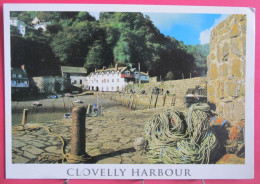 Angleterre - Clovelly Harbour - Clovelly