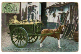 Métiers /  Belgique - Attelage De Chien (laitière). - Vendedores Ambulantes