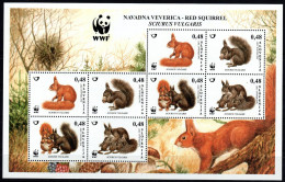 2007 Slovenia, WWF Scoiattolo Minifoglio, Serie Completa Nuova (**) - Eslovenia