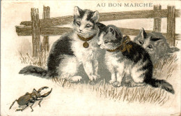 Chromo Au Bon Marché SIT-10 - N°15 Chats Et Scarabée Gatti E Scarabeo Beetle Chat Cat Gatto B.Etat - Au Bon Marché