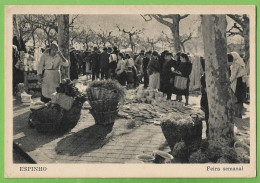 Espinho - Mercado - Feira - Costumes Portugueses. Aveiro. Portugal. - Aveiro