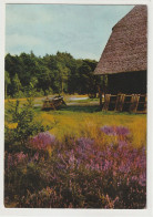 Lüneburger Heide, Niedersachsen - Lüneburger Heide