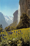 LAUTERBRUNNEN JOLIE CASCADE - Lauterbrunnen