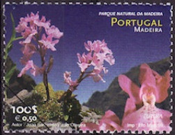 Madère - Madeira - Portugal 1999 Y&T N°SP204 - Michel N°MT197 *** - 100e EUROPA - Spécimen - Madeira