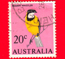 AUSTRALIA - Usato - 1966 - Uccelli - Fischiatore D'Oro - Golden Whistler (Pachycephala Pectoralis) - 20 - Gebruikt
