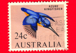AUSTRALIA - Usato - 1966 - Uccelli - Martin Pescatore Azzurro - Azure Kingfisher (Alcedo Azureus) - 24 - Oblitérés