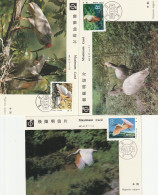 MAXIMUM CARD 3 GIAPPONE (XA91 - Maximumkaarten