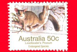 AUSTRALIA - Usato - 1981 - Specie Minacciate Di Estinzione (1981-1984) - Marsupiali - Leadbeater's Possum  - 50 - Gebruikt