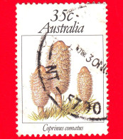 AUSTRALIA - Usato - 1981 - Funghi - Coprinus Comatus - 35 - Gebraucht