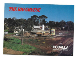 Bodalla The Big Cheese New Shout Wales Australia Photo Card Htje - Altri & Non Classificati