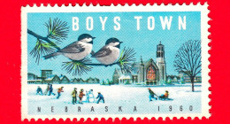 USA - STATI UNITI - Usato  - 1960 - Boys Town - Nebraska - Natale - Uccelli - Neve - Vignetta - Unclassified