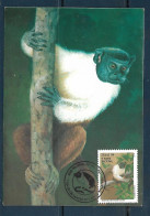 Brasil (Brazil) - 1994 - Monkeys - Maximum Card (##2) - Affen