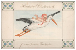 TT0231/ Geburt  Storch Und Baby  Glückwunschkarte Litho Ca.1905 - Nascite