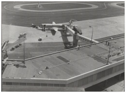 C5819/ Flughafen Schipohl Amsterdam Flugzeug   Foto 21 X 16 Cm 80er Jahre - Andere & Zonder Classificatie