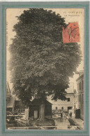 CPA (76) CANY - Thème : ARBRE - Aspect Du Marronnier En 1905 - Cany Barville