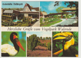 Walsrode, Vogelpark, Niedersachsen - Walsrode