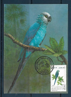 Brasil (Brazil) - 1993 - Parrots - Maximum Card (##9) - Papageien