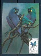Brasil (Brazil) - 1993 - Parrots - Maximum Card (##7) - Parrots