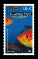 TAAF 2024 Mih. 1199 Fauna. Fishes. Suezichthys Ornatus MNH ** - Nuevos
