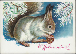 URSS 1981. Entier Postal Carte Pour L'étranger à 4 Kop. Bonne Année. Écureuil Et Pomme De Pin - Rodents