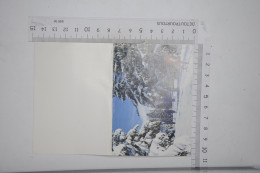 Mini Calendrier 1987 Ski De Fond Skieur - Formato Piccolo : 1981-90