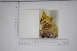 Mini Calendrier 1970 Chat Chaton Cat Katz Calender - Formato Piccolo : 1961-70