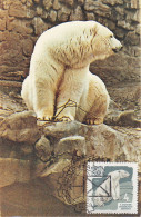 Carte Maximum Russie Russia 2823 Ours Bear - Cartoline Maximum