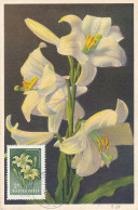 Carte Maximum Hongrie Hungary Fleur Flower 1029 Lys Lilium Lily - Tarjetas – Máximo