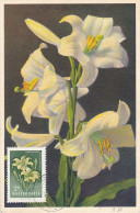 Carte Maximum Hongrie Hungary Fleur Flower 1029 Lys Lilium Lily - Cartoline Maximum