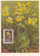 Carte Maximum Hongrie Hungary Fleur Flower 1028 Primevère Primrose - Cartoline Maximum