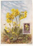 Carte Maximum Hongrie Hungary Fleur Flower 1028 Primevère Primrose - Cartoline Maximum