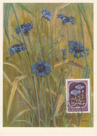 Carte Maximum Hongrie Hungary Fleur Flower 1024 Bleuet Cornflower - Maximumkaarten