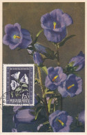 Carte Maximum Hongrie Hungary Fleur Flower 967 Campanule Campanula Carillon - Cartoline Maximum