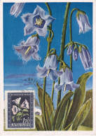 Carte Maximum Hongrie Hungary Fleur Flower 967 Campanule Campanula Carillon - Cartoline Maximum