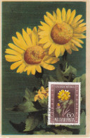 Carte Maximum Hongrie Hungary Fleur Flower 965 Adonide Adonis - Cartoline Maximum