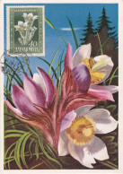 Carte Maximum Hongrie Hungary Fleur Flower 964 Anémone Anemones - Cartoline Maximum