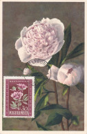 Carte Maximum Hongrie Hungary Fleur Flower 963 Pivoine Peony - Cartoline Maximum