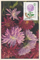Carte Maximum Hongrie Hungary Fleur Flower 1598 Chrysanthème Chrysanthemum - Cartoline Maximum