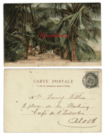 Belgisch Congo Belge CPA Colorisée Ingekleurd Boma Avenue Des Cocotiers 1907 Africa Afrique - Congo Belge