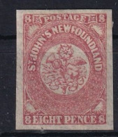 NEWFOUNDLAND 1861/62 - MLH - Sc# 22 - 1857-1861