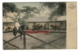 Belgische Congo Belge CPA Colorisée Ingekleurd Boma Les Chevaux Du Gouverneur Général Afrique Africa (+/-1907) - Belgisch-Congo