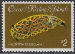 Kokos-Inseln Mi.Nr. 154 Freim. Muscheln+Schnecken, Halgerda Tessellata (2) - Islas Cocos (Keeling)