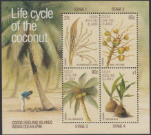 Kokos-Inseln Mi.Nr. Block 6 Kokosnuss Entwicklungsstadien  - Cocoseilanden