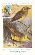 Carte Maximum Hongrie Hungary Oiseau Bird 1484 Bruant Bunting - Cartoline Maximum