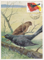 Carte Maximum Hongrie Hungary Oiseau Bird 1483 Merle Robin - Cartes-maximum (CM)