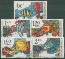 Tschechoslowakei 1975 Zierfische: Tigerbarsch, Seepferdchen 2260/64 Gestempelt - Used Stamps