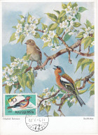 Carte Maximum Hongrie Hungary Oiseau Bird 1480 Pinson Finch - Cartoline Maximum